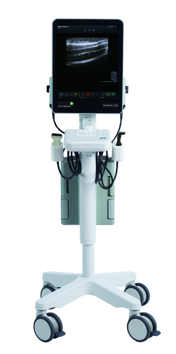 BK-Flex Focus 800 Ultrasound-Image